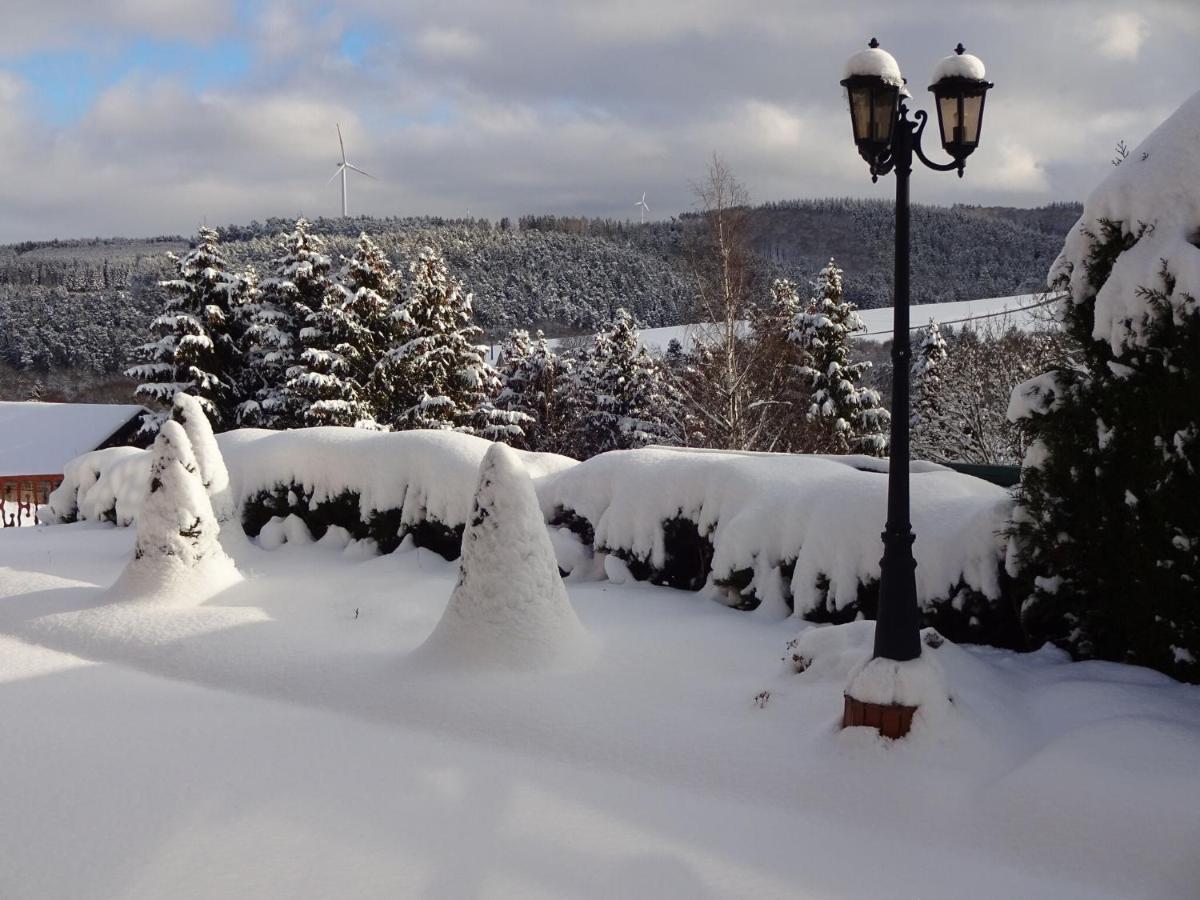 Apartment In Eifel With Children S Playground Lirstal ภายนอก รูปภาพ